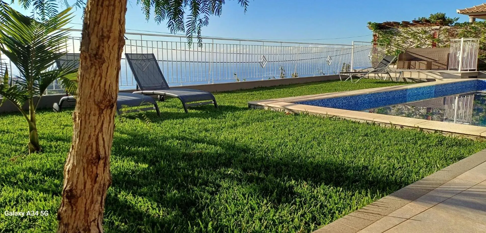 The Tree Of Life House Hotel Ponta do Sol  Portugal
